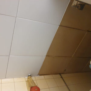 Ceiling-Tiles-Spraying